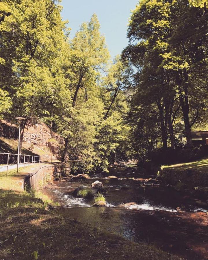 Schwarzwald Maedl Appartement Bad Wildbad Buitenkant foto